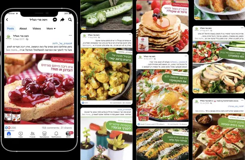 ויטה פרי הגליל